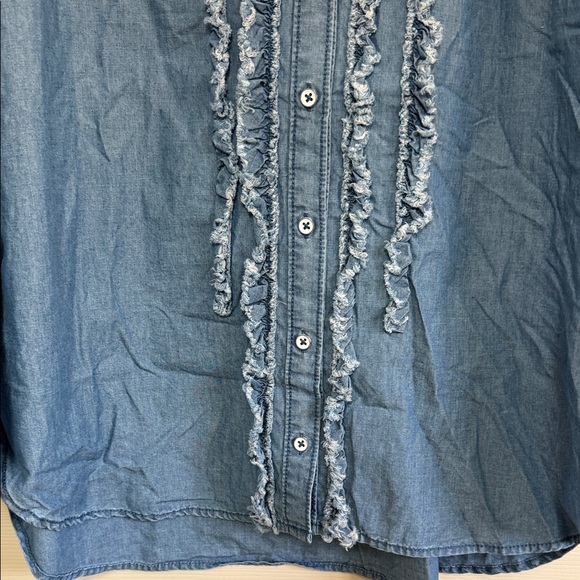 Pilcro by Anthropologie Casual Blue Button Down Shirt - Picture 5 of 14